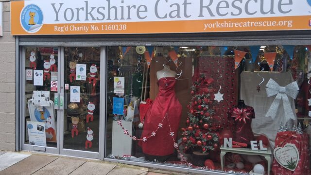 Yorkshire Cat Rescue (Wellington Arcade)